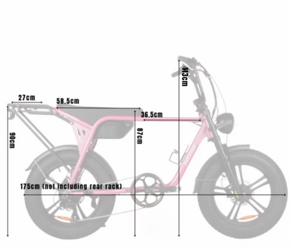 Fatfish Biggie Fat Tyre E-Bike