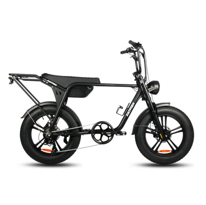 Fatfish Biggie Fat Tyre E-Bike