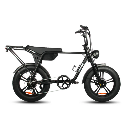 Fatfish Biggie Fat Tyre E-Bike