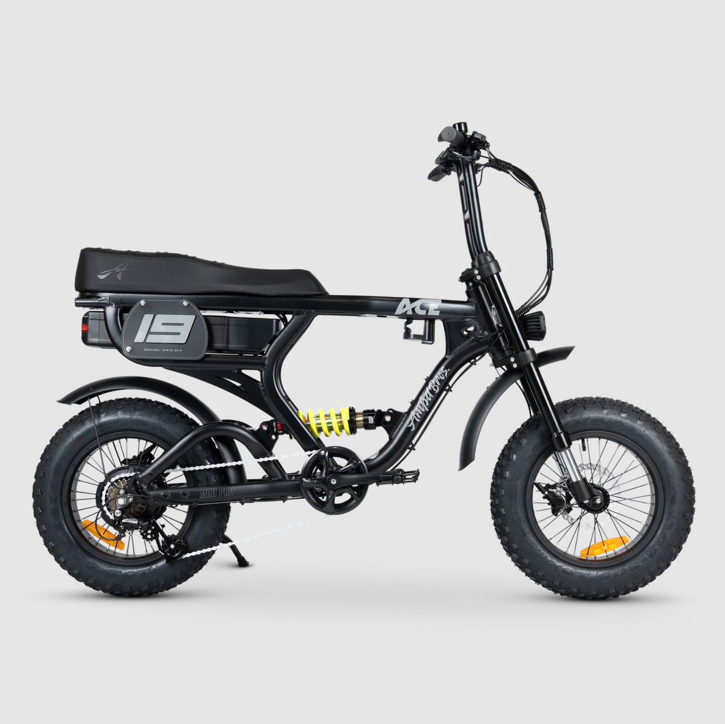 ACE-X Mini PRO Electric Bike