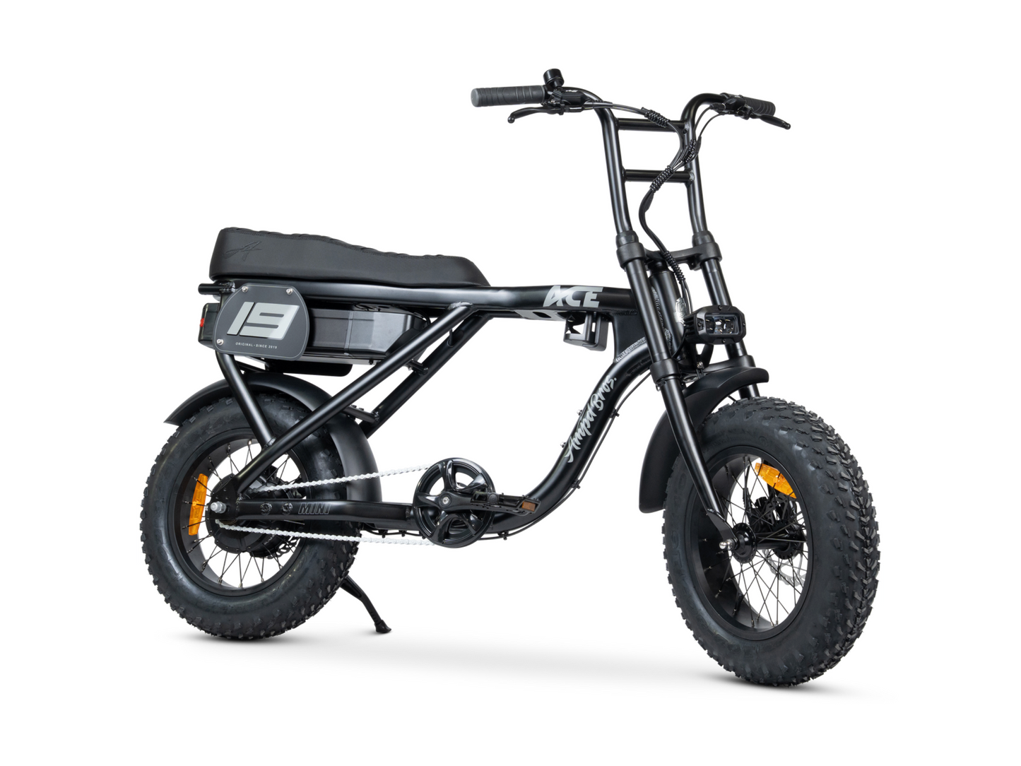 ACE MINI ELECTRIC BIKE