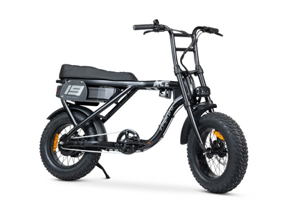 ACE MINI ELECTRIC BIKE