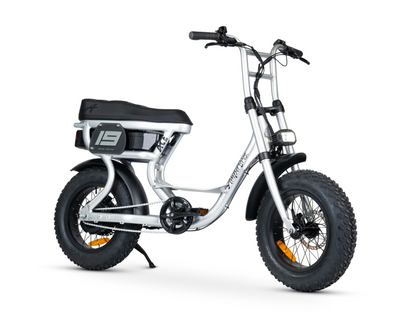 ACE MINI ELECTRIC BIKE