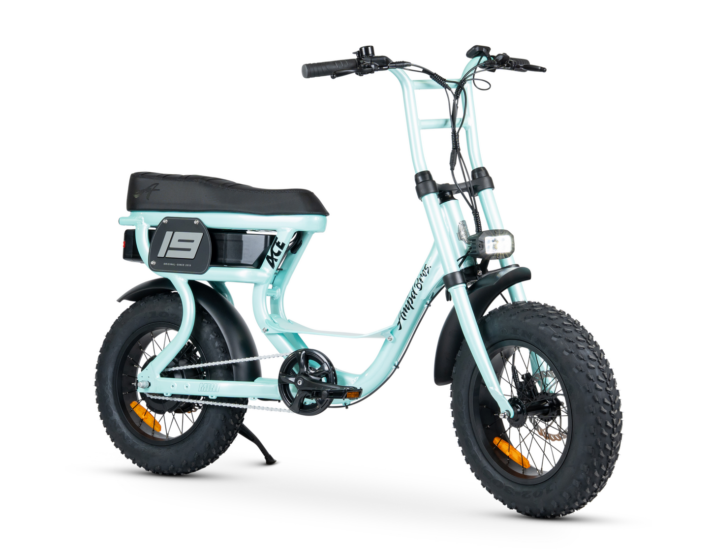 ACE MINI ELECTRIC BIKE
