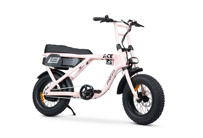 ACE MINI ELECTRIC BIKE
