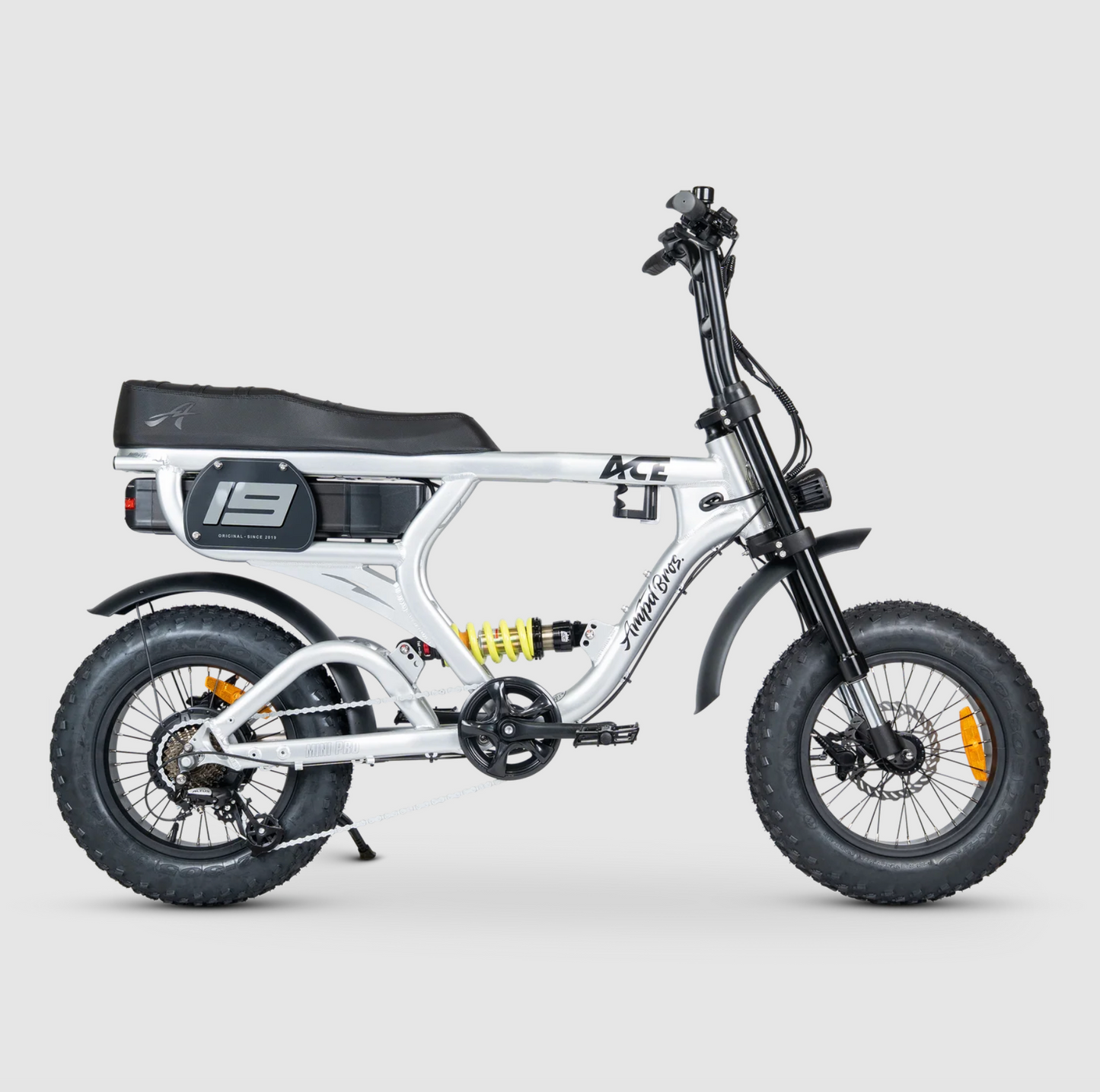 ACE-X Mini PRO Electric Bike