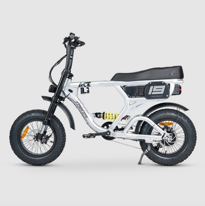 ACE-X Mini PRO Electric Bike