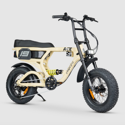 ACE-X Mini PRO Electric Bike